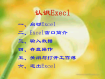 第7课《认识电子表格1》PPT课件7-八年级上册信息技术【川教版】