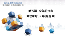 《少年当自强》PPT课件4-统编版九年级下册道德与法治