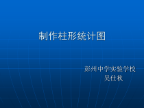 第11课《制作柱形统计图》PPT课件2-八年级上册信息技术【川教版】