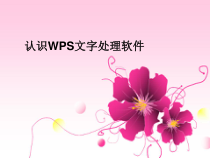 第1课《认识WPS文字处理软件》PPT课件6-八年级上册信息技术【川教版】
