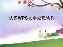 第1课《认识WPS文字处理软件》PPT课件1-八年级上册信息技术【川教版】