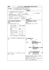 《菌真菌在自然界中的作用》导学案-人教版生物八年级上册