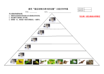 《第二节 从种到界》小组合作学案-人教版生物八年级上册