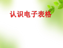 第7课《认识电子表格》PPT课件8-八年级上册信息技术【川教版】
