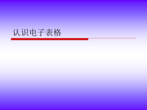第7课《认识电子表格》PPT课件12-八年级上册信息技术【川教版】
