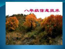 第1课《计算机网络及应用》PPT课件11-八年级下册信息技术【川教版】