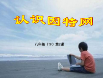 第2课《认识互联网》PPT课件1-八年级下册信息技术【川教版】