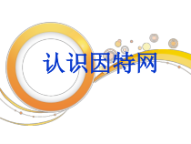 第2课《认识互联网》PPT课件2-八年级下册信息技术【川教版】