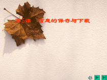 第5课《信息的保存与下载》PPT课件12-八年级下册信息技术【川教版】