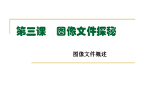 《图像文件探秘——图像文件概述》PPT课件-七年级上册信息技术【大连理工版】