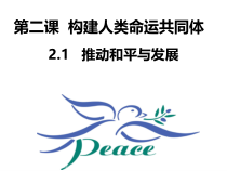 《推动和平与发展》PPT课件3-统编版九年级下册道德与法治