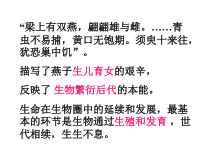 人教版生物八年级下册（课件11份可预览）
