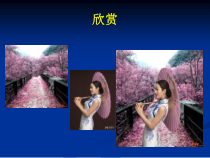 第五课《旅行行程展示——选择工具的使用》PPT课件2-七年级上册信息技术【大连理工版】