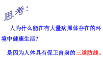 《科学家的故事 袁隆平与杂交水稻》PPT课件2-人教版生物八年级下册