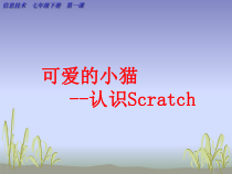 第一课《可爱的小猫——认识Scratch》PPT课件2-七年级下册信息技术【大连理工版】