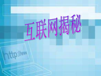 《互联网揭秘——了解互联网》PPT课件2-八年级上册信息技术【大连理工版】