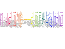 《Flash动画初探——动画原理与逐帧动画》PPT课件1-八年级下册信息技术【大连理工版】