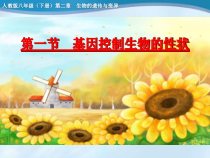 《第一节 基因控制生物的性状》PPT课件1-人教版生物八年级下册
