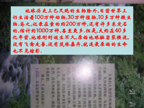 《第一节 地球上生命的起源》PPT课件2-人教版生物八年级下册