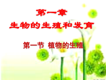 《第一节 植物的生殖》PPT课件2-人教版生物八年级下册