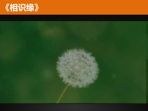 《统筹策划——项目的规划与设计》PPT课件-九年级下册信息技术【大连理工版】