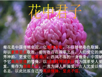 《科学·技术·社会 植物的组织培养》PPT课件1-人教版生物八年级下册