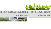 《科学·技术·社会 植物的组织培养》PPT课件2-人教版生物八年级下册