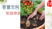 《第一节 植物的生殖》PPT课件1-人教版生物八年级下册