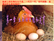 《第一节 植物的生殖》PPT课件3-人教版生物八年级下册
