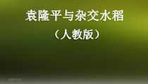 《科学家的故事 袁隆平与杂交水稻》PPT课件1-人教版生物八年级下册