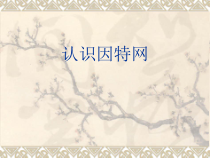 3.2《认识因特网》PPT课件2-七年级上册信息技术【沪科版】
