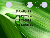 四《认识计算机》PPT课件7-七年级上册信息技术【沪科版】