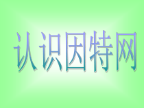 《认识因特网》PPT课件 (5)-七年级下册信息技术【人教蒙教版】