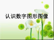 《活动1  认识数字图形图像》PPT课件1-八年级上版信息技术【人教蒙教】