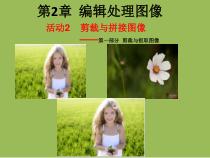 《剪裁与拼接图像》PPT课件 (2)-八年级上版信息技术【人教蒙教】