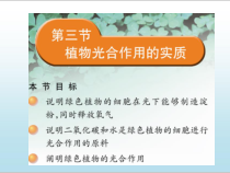 苏教版生物七年级上册（课件13份可预览）