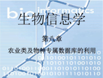 (生物信息学)第八章农业类及物种专属数据库的利用课件