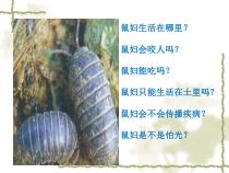 《第二节 探索生命的方法》PPT课件1-苏教版生物七年级上册