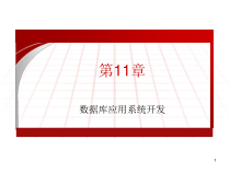 第11章数据库应用系统开发课件