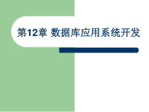 第12章数据库应用系统开发-课件