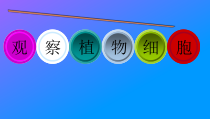 《第二节 探索生命的方法》PPT课件2-苏教版生物七年级上册