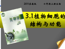 《第一节 植物细胞的结构和功能》PPT课件1-苏教版生物七年级上册