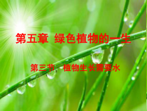 《第三节 植物生长需要水和无机盐》PPT课件1-苏教版生物七年级上册
