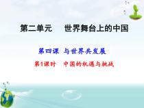 《中国的机遇与挑战》PPT课件3-统编版九年级下册道德与法治