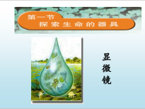《第一节 探索生命的器具》PPT课件1-苏教版生物七年级上册