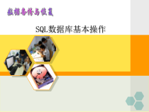 数据恢复技术SQL数据库基本操作课件