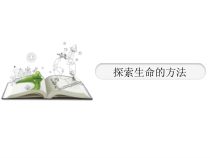 《第二节 探索生命的方法》PPT课件3-苏教版生物七年级上册