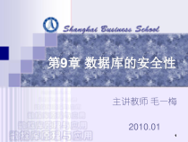 数据库的安全性课件