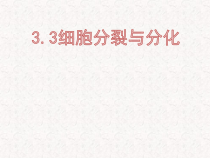《第三节 细胞分裂与分化》PPT课件1-苏教版生物七年级上册