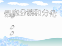 《第三节 细胞分裂与分化》PPT课件3-苏教版生物七年级上册